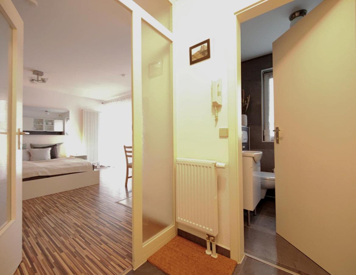 Gemuetliche Ferienwohnung In Ruhiger Lage Dresde Extérieur photo