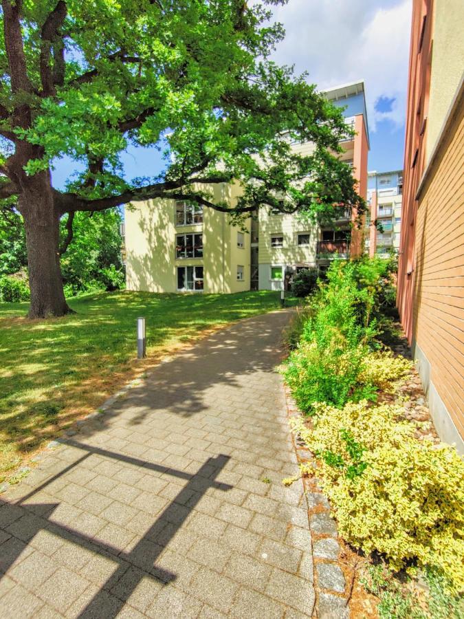 Gemuetliche Ferienwohnung In Ruhiger Lage Dresde Extérieur photo